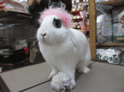 150103f.gif
