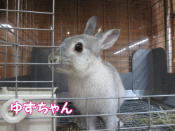 150103k.gif