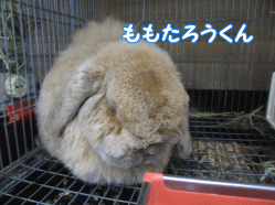 150103p.gif