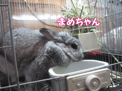 150103w.gif
