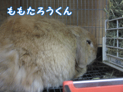 150104b1.gif