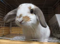 150104c2.gif