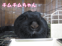 150104f1.gif