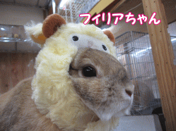 150105a.gif