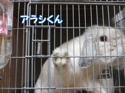 150105c.gif