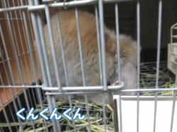 150105e.gif