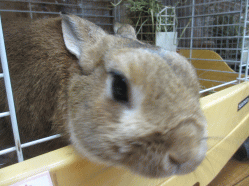 150105h.gif