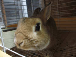 150106d.gif