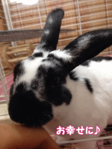 150106e.gif