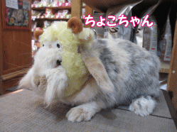 150110c.gif