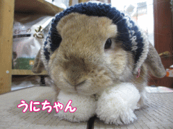 150110g.gif