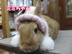 150110k.gif