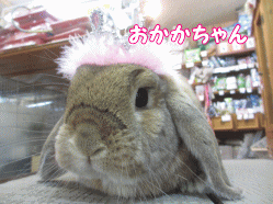 150110m.gif
