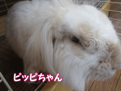 150110u.gif