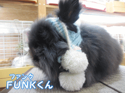 150111b1.gif