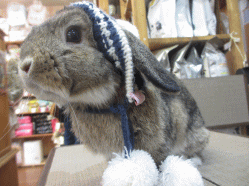 150111e2.gif