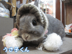150111f1.gif