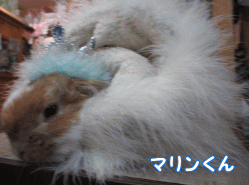 150111i1.gif
