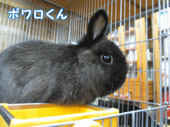 150111k1.gif