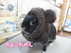 150112e.gif