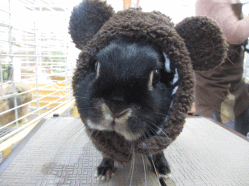 150112f.gif