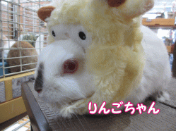 150112g.gif