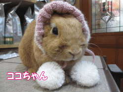 150112r.gif
