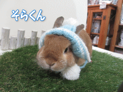 150115a.gif
