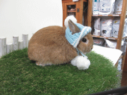 150115b.gif