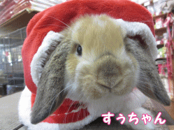 150116a1.gif