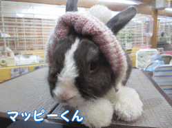 150116b1.gif