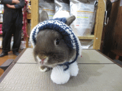 150118a2.gif