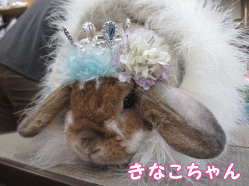 150118b1.gif