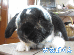 150118e1.gif