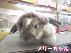 150118i1.gif