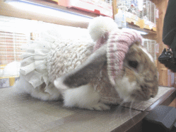 150118i2.gif