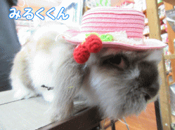 150119b.gif