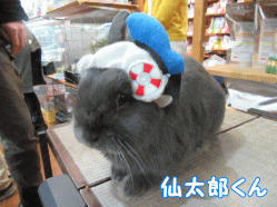 150119d.gif
