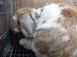 150119e.gif