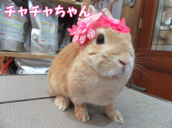 150119f.gif