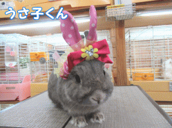 150119g.gif