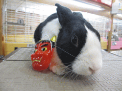 150120b.gif