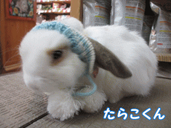 150123b1.gif