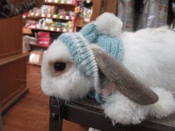 150123b2.gif
