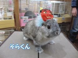 150126a.gif