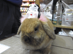 150127b.gif