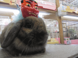 150129f.gif