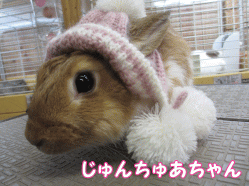 150130a1.gif