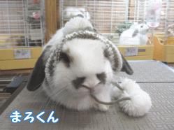 150130b1.gif
