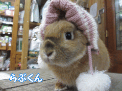150131c.gif